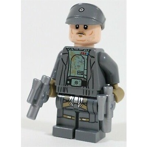 【全新未組】LEGO 樂高 星際大戰 人偶 陸軍上尉 含兩把手槍 75211 星戰 starwars 含配件