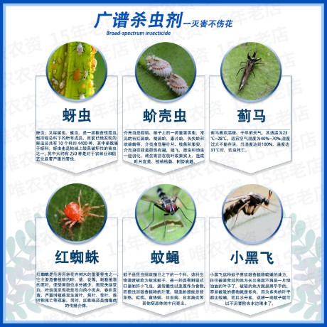 現貨 護花神殺蟲噴射劑花卉植物家用除蚧殼蟲小黑飛蚜蟲專用通用殺蟲藥 蝦皮購物