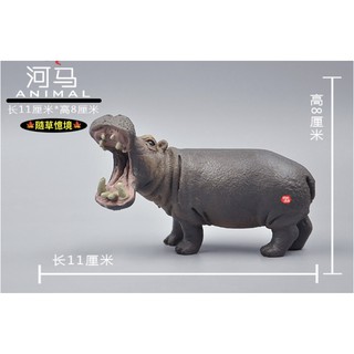 （稀有珍藏）正版 SPG 大號 河馬 模擬動物模型 套裝 野生動物 兒童益智 公仔
