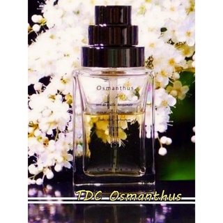 桂落悠香 桂月飄香 The Different Company TDC Osmanthus