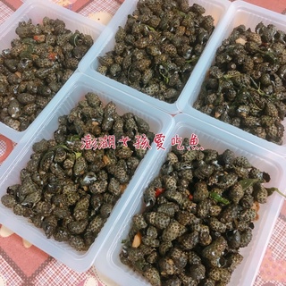 澎湖城前鮮蚵新鮮美味無腥味無泡水300公克 蝦皮購物