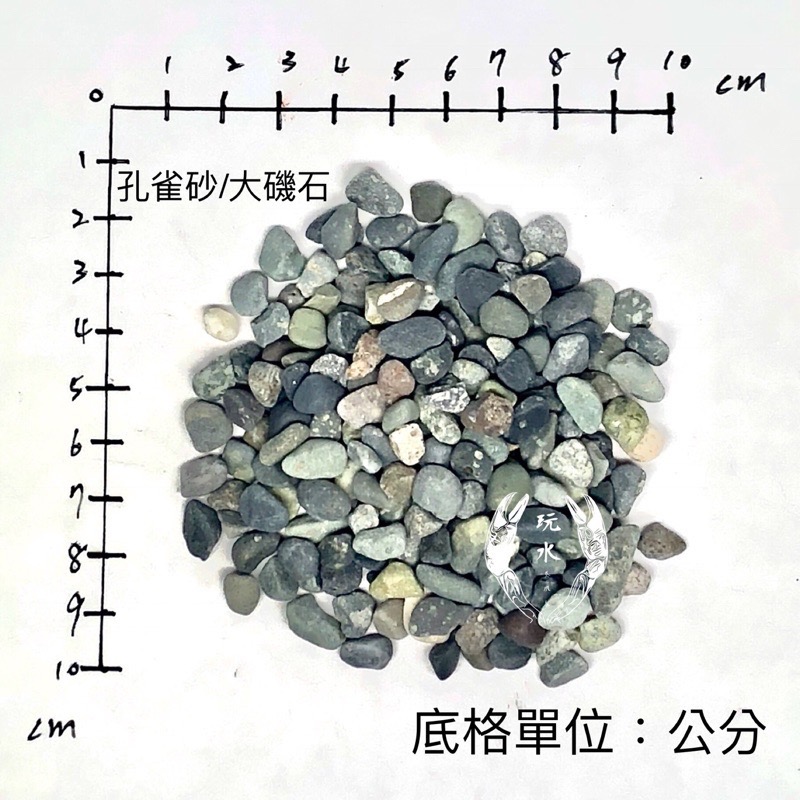大磯砂利 細目40kg 底砂ろ材 Latinaseguros Com Ec