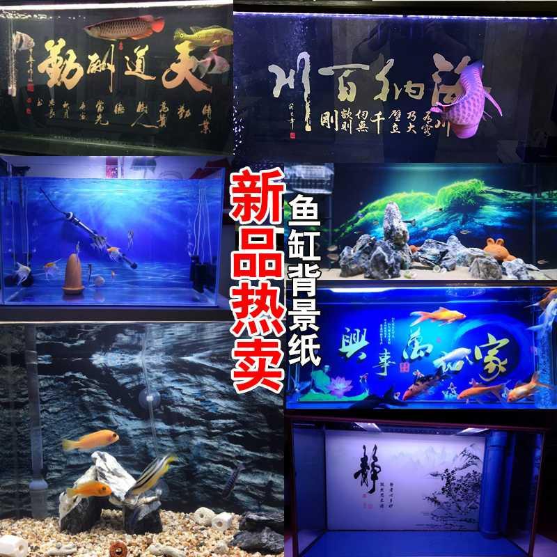精致魚缸背景紙畫高清圖3d立體壁畫水族箱背景圖貼紙壁紙背景畫定做 蝦皮購物