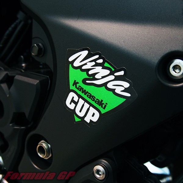 [Formula GP]Kawasaki Team 川崎WSBK NINJA CUP 小忍者 ZX6R 10R 車貼貼紙