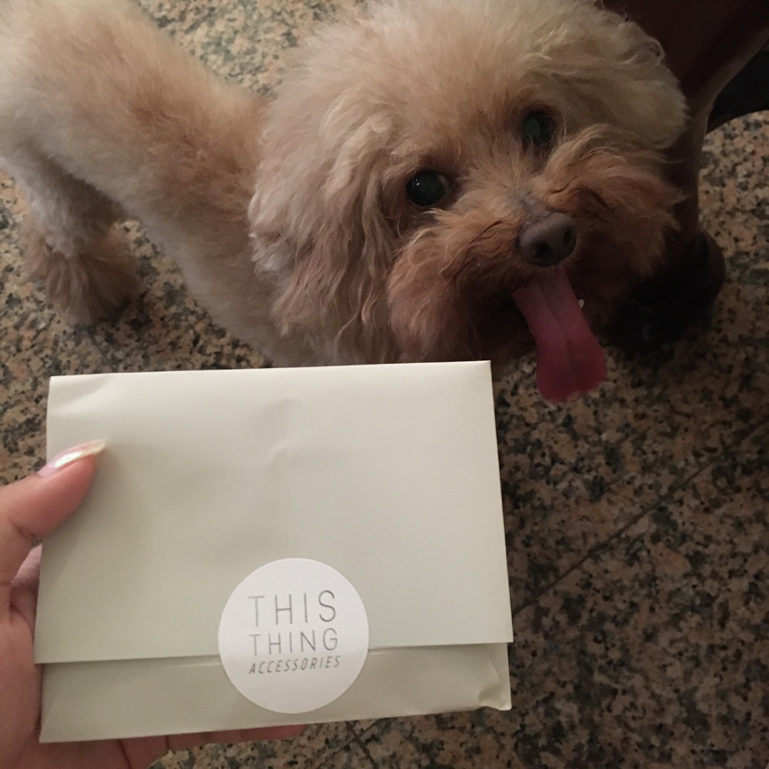 スクラッチ興奮する受け取る極小犬種類 Mariagabriellalastilla Org