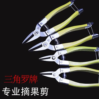 🔥臺灣熱賣🔥羅定果剪枝剪刀摘果剪修枝剪桔子剪葡萄剪修花剪稀果剪園藝採果