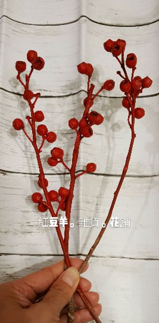 紅色乾燥琥珀果。乾燥花。新年花材。新年擺飾。拍攝道具 蝦皮購物