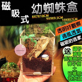 Kabi 磁吸式蜘蛛飼養盒蜘蛛盒跳蛛盒跳蛛屋蜘蛛屋飼養箱飼養盒蜘蛛跳蛛飼養 蝦皮購物