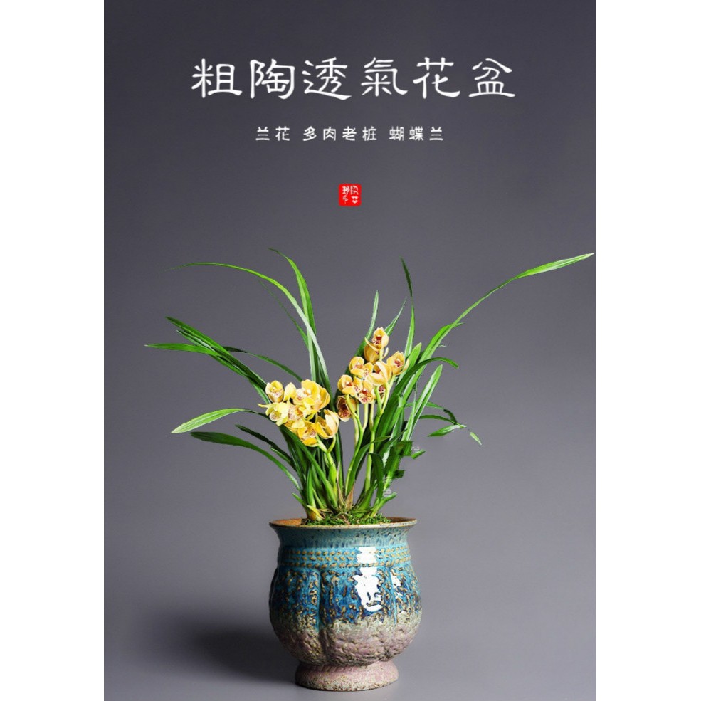 超好看創意陶瓷蝴蝶蘭專用花盆透氣粗陶多肉花盆植物盆器高款法師老樁蘭花盆花器花架盆栽 蝦皮購物