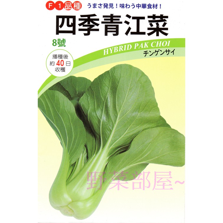 【萌田種子~中包裝】F25 日本四季青江菜種子60公克 , 耐熱性強 , 採收快 ~