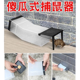 大號滅鼠神器,塑膠捕鼠器,家用營業用全自動撲捉抓逮,大老鼠籠批發,捕鼠瓶 捕鼠籠 補獸器,抓貓 抓鴿子 抓鳥