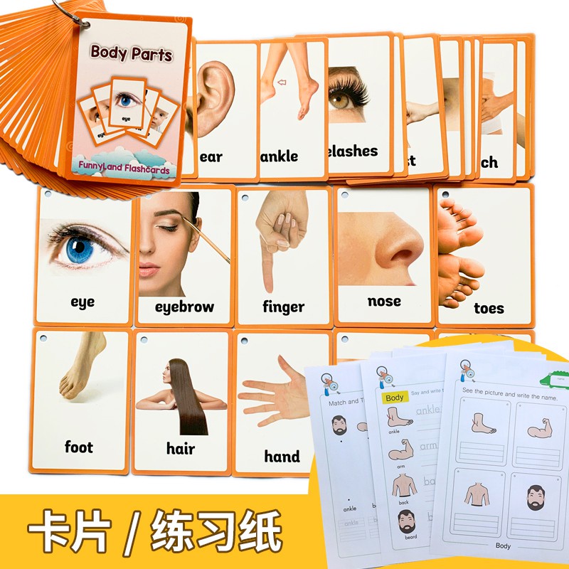 Body Parts寶寶身體部位英文閃卡分類早教英語小達人點讀趣味手工作業練習紙課堂習題冊训练纸 蝦皮購物