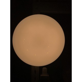 （麥電火）LED 走道 陽臺 樓梯 儲藏室 15W 吸頂燈