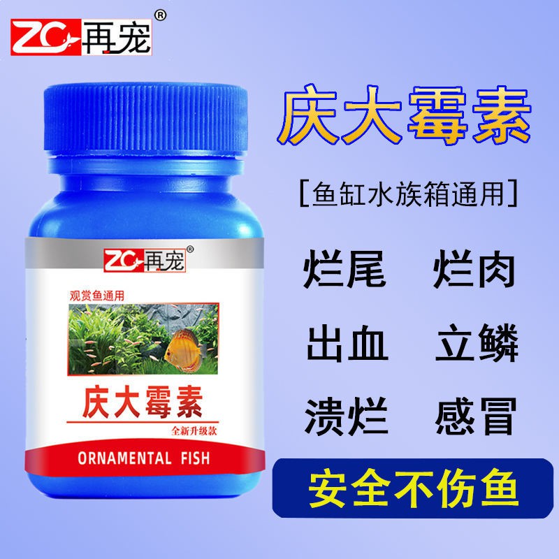 魚用治療錦鯉金魚炸鱗爛肉爛尾爛鰭充血魚缸水族專用魚藥 蝦皮購物