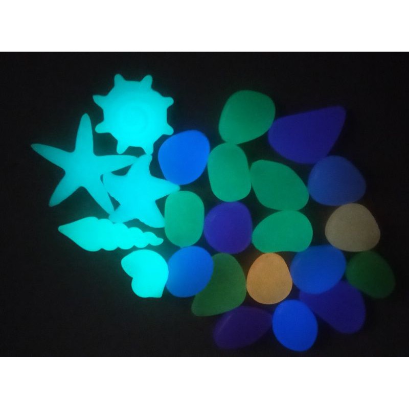 螢光夜光發光 夜光石 底沙  圓石 貝殼 水族缸裝飾 小擺飾 造景 兒童玩具 小禮物 驚喜 親子DIY