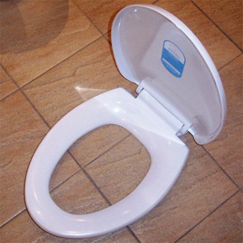 American Standard No Ptt Dcard討論與高評價商品 2021年11月 飛比價格