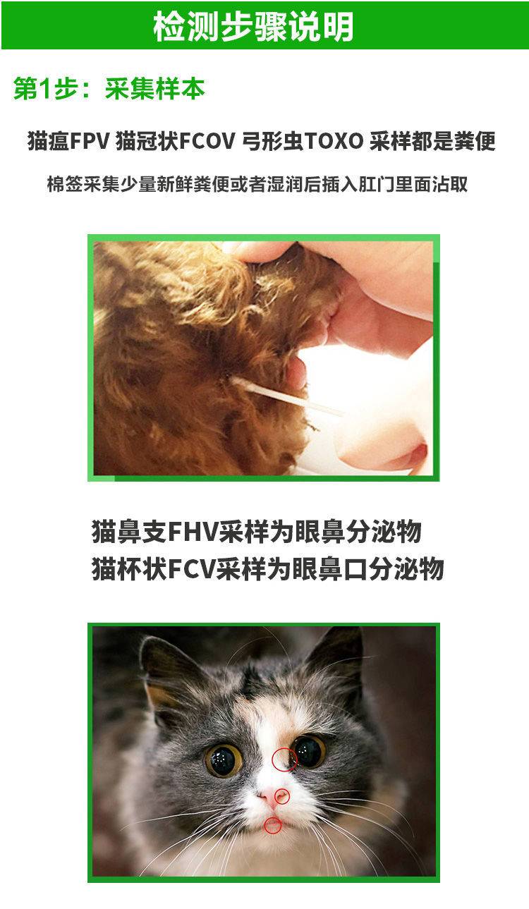 現貨 萌氏寵物試紙 盒装 组合装 貓瘟試紙 貓鼻支試紙 貓冠狀 貓杯狀 病毒試紙 貓咪病毒檢測 犬貓弓形蟲試紙 【讀寵】