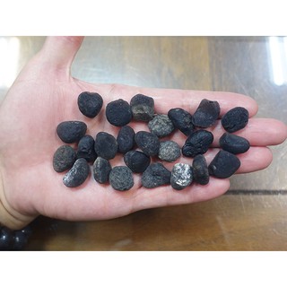 §能量礦石§ 亞利桑那隕石Saffordite Arizona天狼星隕石 每拍一顆 重3.00至3.99g