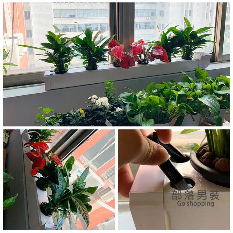 植物栽培箱 Ptt Dcard討論與高評價網拍商品 21年8月 飛比價格