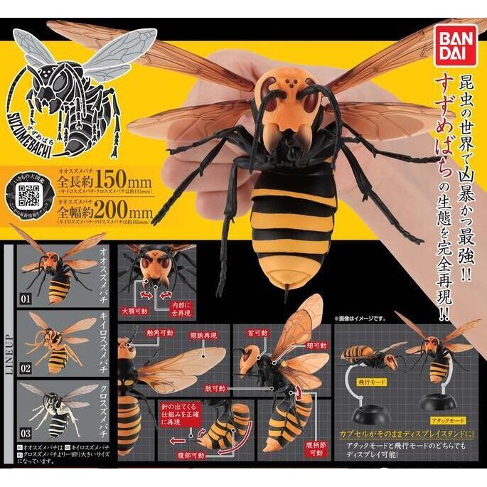 BANDAI 轉蛋 扭蛋 胡蜂造型轉蛋 胡蜂 虎頭蜂 環保扭蛋 全3種 整套販售