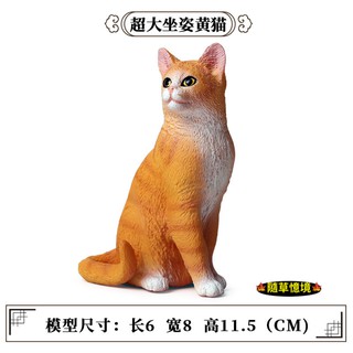 （高品質畫工）模擬 大型 黃貓 貓咪 波斯貓 貓 動物模型 野生動物 兒童玩具 益智 公仔 SPG