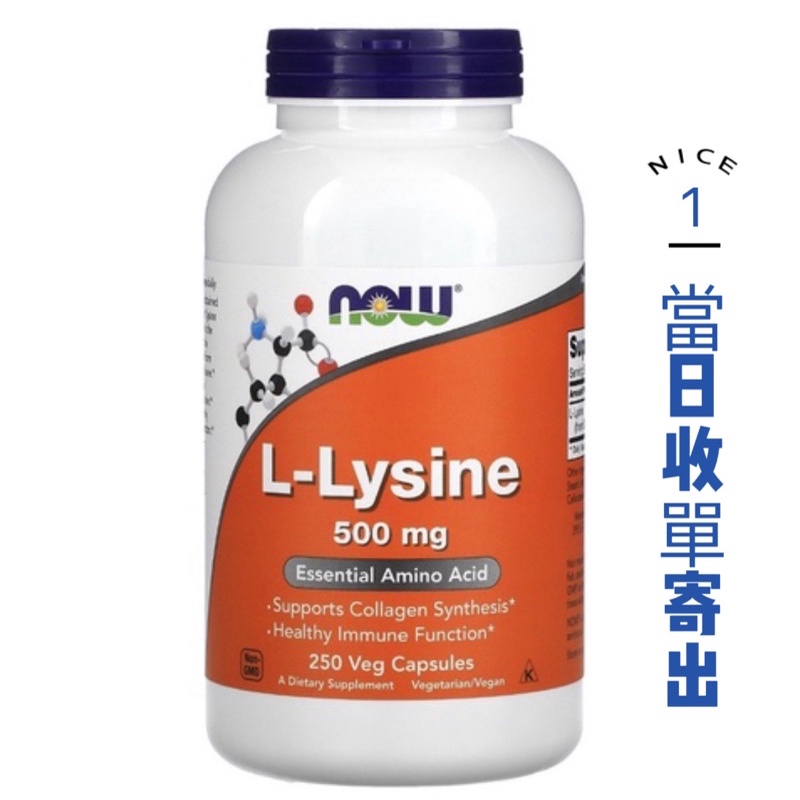 🌈🐱🐶 寵物保健 ☀️NOW Lysine 離胺酸 離氨酸500mg 膠囊/錠片 / 純粉 貓咪補充站 寵物保健