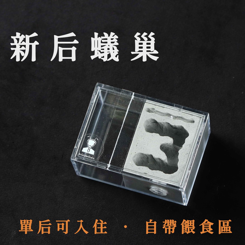 捕蟻人工作室 新后蟻巢增加培養成功率養螞蟻獨家配方ac土養新后超方便餵食 蝦皮購物