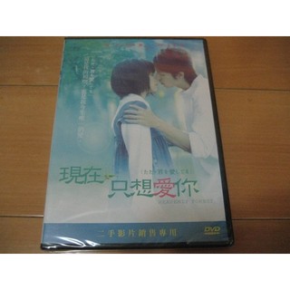 全新日影《現在只想愛你》DVD 玉木宏 宮崎葵 一張張戀愛寫真，紀錄初戀的心動時刻與青澀的悲傷…