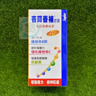 杏輝善補膠囊 60粒/盒 維他命B群+維他命C+葉酸 期限2027年㊣阿寶㊣