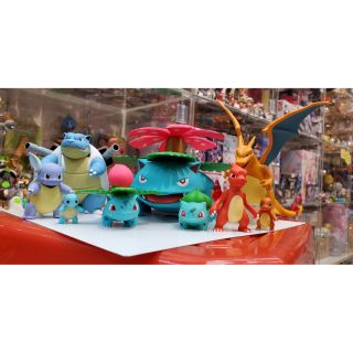 神奇寶貝 寶可夢 日版 食玩 盒玩 SCALE WORLD 關都地區 妙蛙花 噴火龍 水箭龜 進化鏈現貨