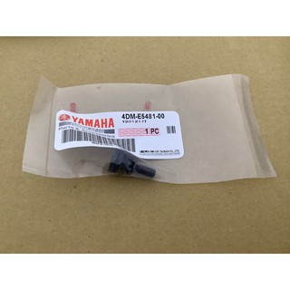 YAMAHA 原廠 傳動外蓋螺絲 4DM-E5481-00 勁戰系列 勁豪 GTR BWS