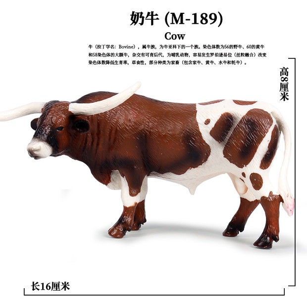 兒童仿真動物牛模型玩具奶牛黃牛水牛公牛犀牛耗牛擺件男女孩禮物 蝦皮購物