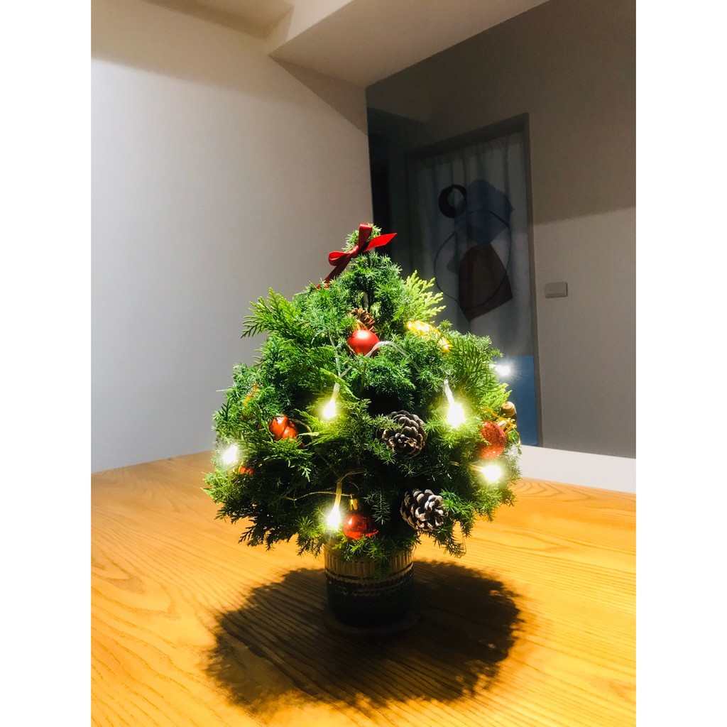 聖誕樹.雪松聖誕樹.桌上型聖誕樹.手工聖誕樹