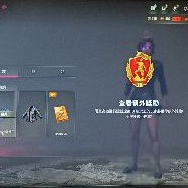 二手/訂製 可排位可競技 500等 正版 Steam 電腦版 絕地求生 PUBG 吃雞 大逃殺