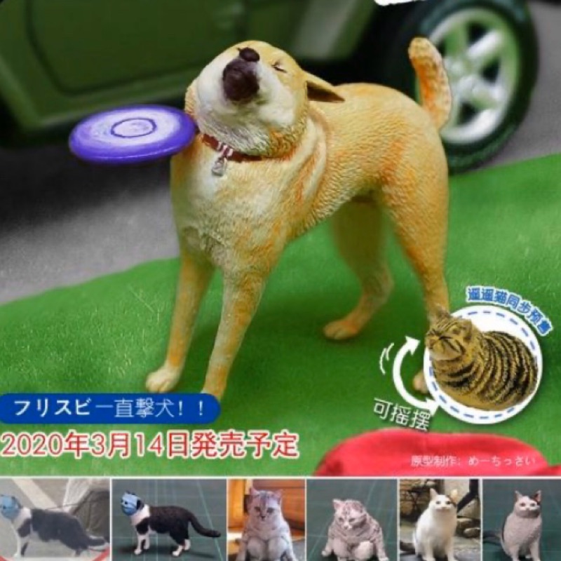 【漢斯模型】全新現貨 動物星球 沙雕系列 口罩貓 飛盤狗 搖搖貓 盒玩 扭蛋 模型 公仔
