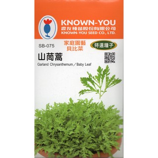 【拈花微笑】山茼蒿｜貝比菜種子｜8g｜非基因改造種子｜蔬菜｜蔬果｜有機無毒｜高發芽率