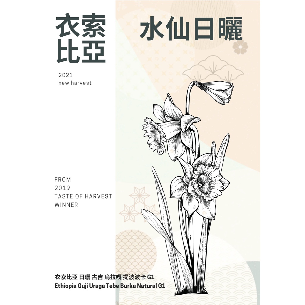 【圖騰咖啡】衣索比亞 日曬 水仙 古吉 烏拉嘎 提波波卡處理廠 G1 ~一磅裝，專業烘焙精品咖啡豆莊園豆 手沖 咖啡機!