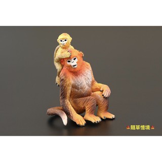 （高品質畫工）模擬 金絲猴 猴子 猴 靈長類 猿類 動物模型 野生動物 兒童玩具 益智 公仔 SPG