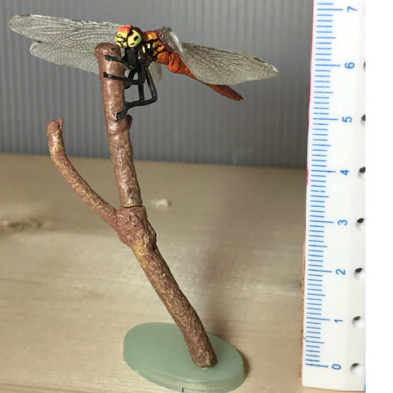 #134「櫻田門」Yujin 原色日本昆蟲圖鑑 扭蛋 蜻蜓 模型 扭蛋 仿真模型 無盒無紙