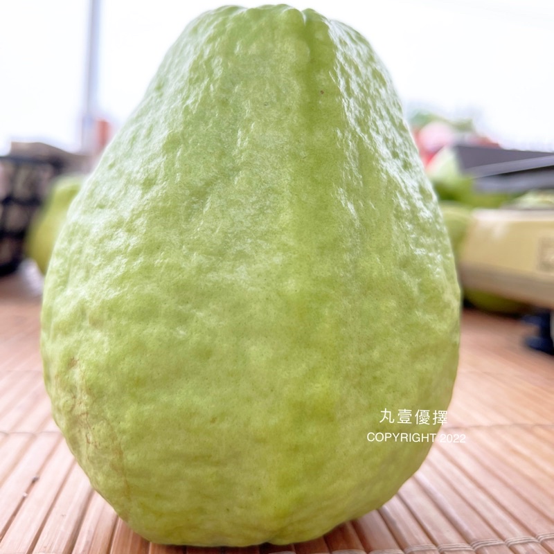 丸壹ʕ •ᴥ•ʔ珍珠芭樂 中顆 中大顆 鮮自然口感 番石榴 維他命C之王