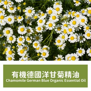 【馥靖精油】有機德國洋甘菊精油 Chamomile German Blue Organic Essential Oil