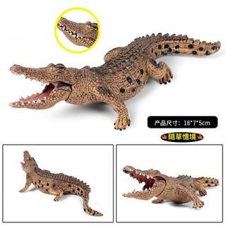 （嘴可開合）極度模擬 鱷魚 鰐魚 兩棲動物 冷血 猛獸 動物模型 野生動物 兒童玩具 益智 公仔 SPG