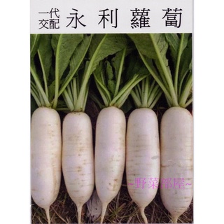【萌田種子~中包裝】I45 永利蘿蔔種子15公克 ,耐熱早生品種 , 口感佳 ,每包190元~