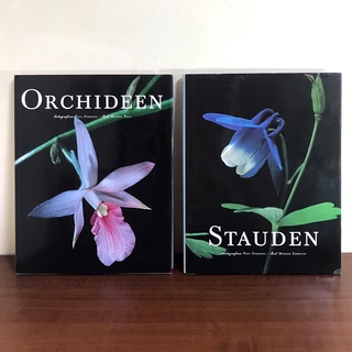 Image of ◤德文：養蘭研究 微觀攝影 植物品種圖鑑《Orchideen 蘭花/Stauden多年生植物》Paul Starosta