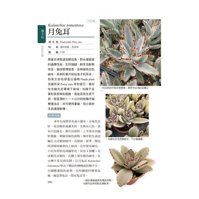 晨星 多肉植物圖鑑 出色閱讀棧 蝦皮購物