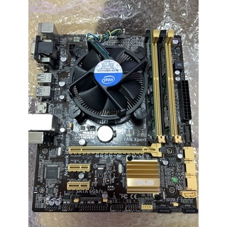 Intel i5 4440 + Asus B85M-G + 8G DDR3 RAM