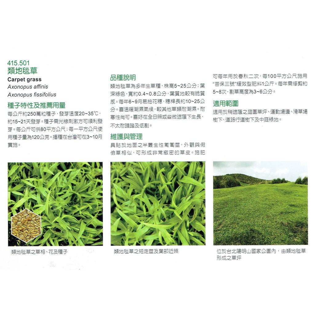 種子王國類地毯草 草種子 天星牌約50公克 包可供3平方公尺用適合稍耐遮蔭之庭院草坪多年生草種 蝦皮購物