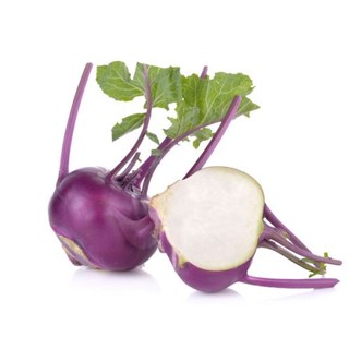 紫大頭菜種子~~~~