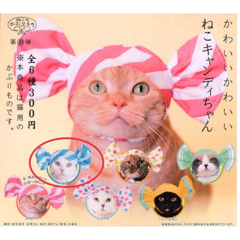 正版Kitan club 可愛貓咪 糖果造型頭套 扭蛋 貓頭套  貓頭巾 貓奴
