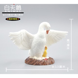 （稀有珍藏）正版 SPG 大號 白天鵝 天鵝 母子 模擬動物模型 套裝 野生動物 兒童益智 公仔